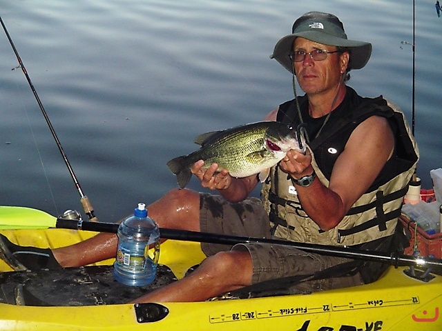 Largemouth Bass_1