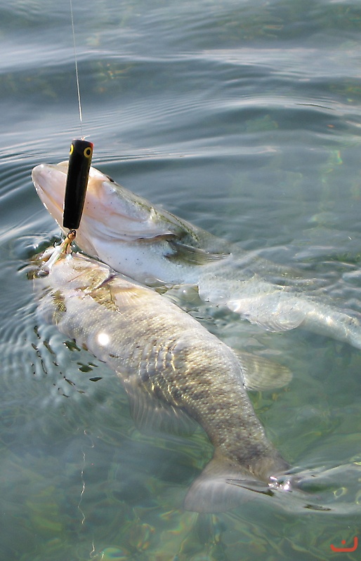 Kayak Fishing in Texas_1