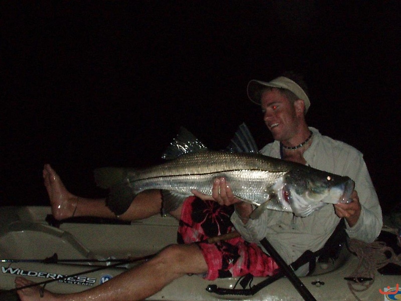 Snook Fishing _2