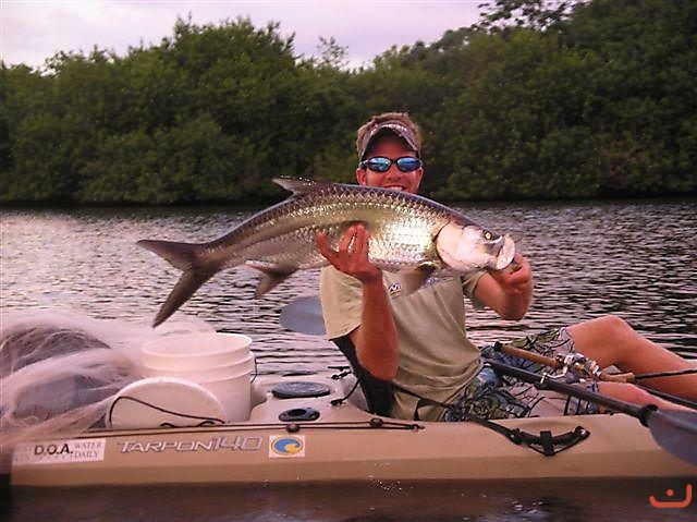 Tarpon fishing _2