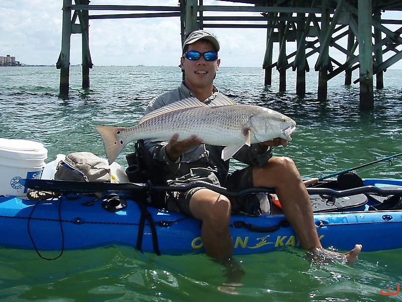 Bill reds on Beach_1