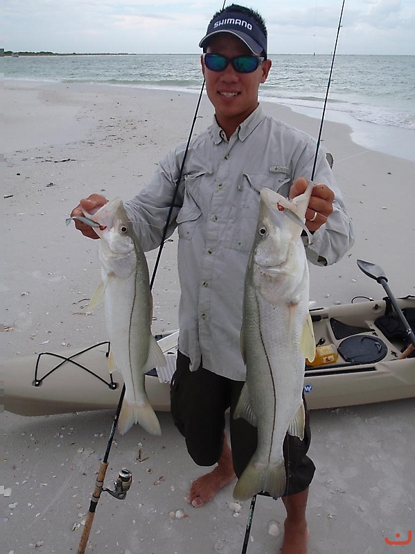 snook fishing _2