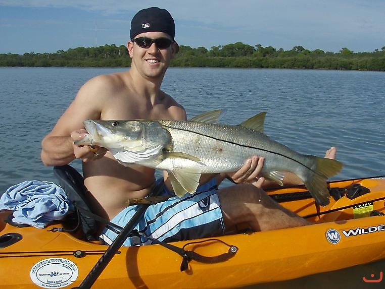 snook fishing _3