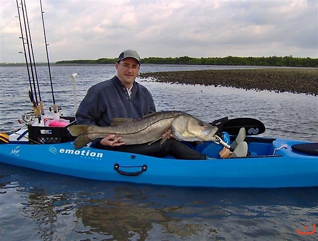 Monster Snook