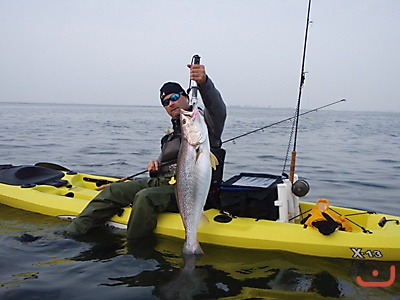 Jamaica Bay Weakfish