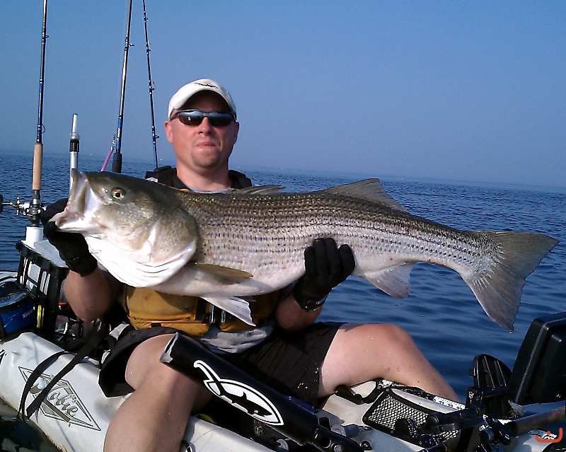 2010 Catches_1