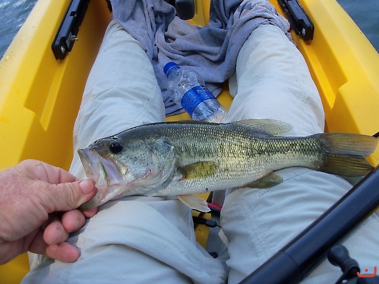 North Georgia Lake Fishing_1