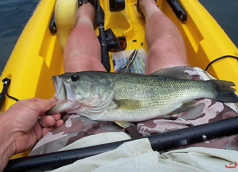 North Georgia Lake Fishing_3