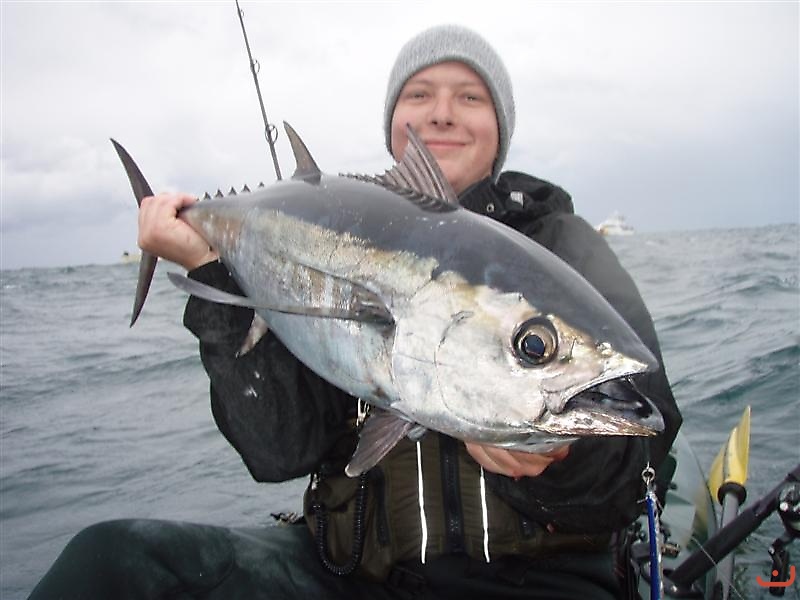 Hatteras Blackfin