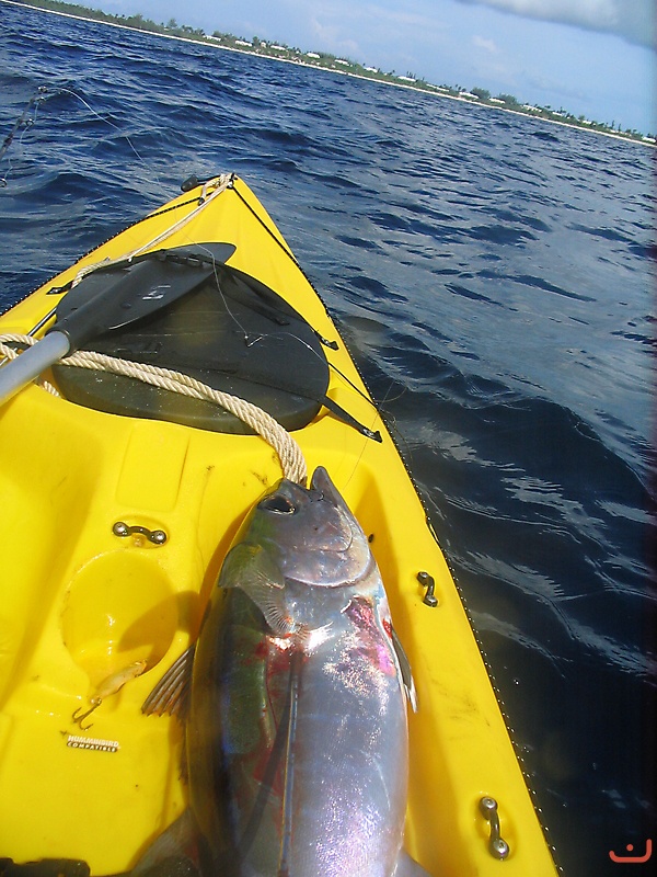 KF Eleuthera Bahamas_1