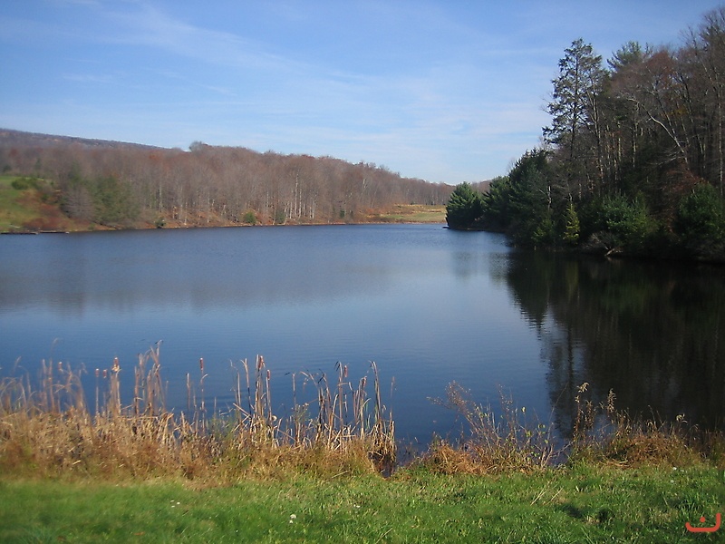 Small NJ pond_1