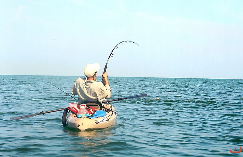 Tarpon fishing _1