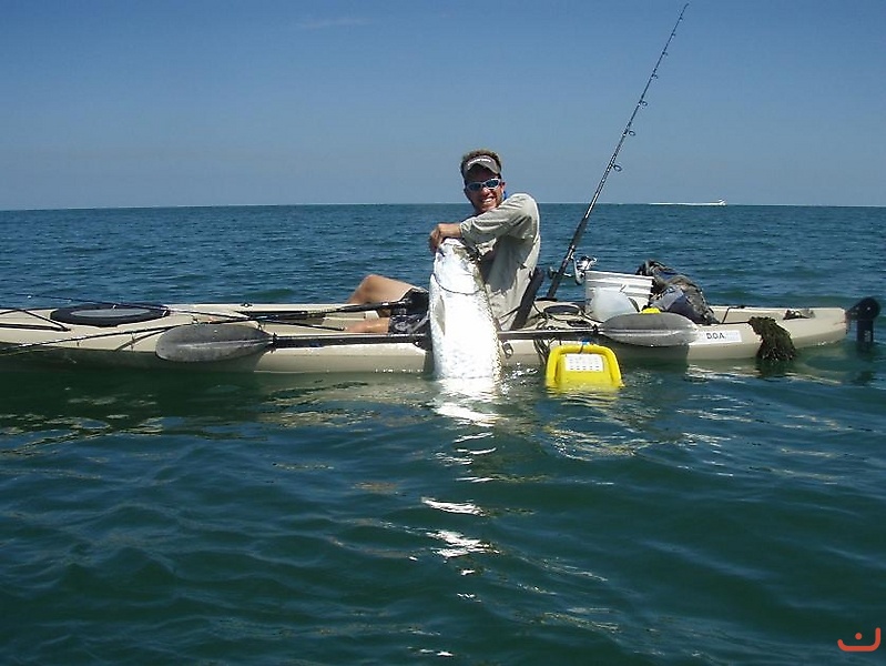 Tarpon fishing _2