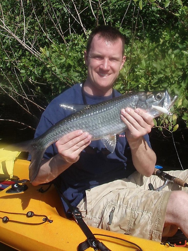 Tarpon fishing _3