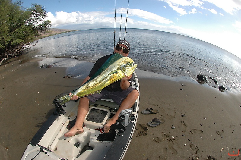 Mahi Mahi on Maui_1