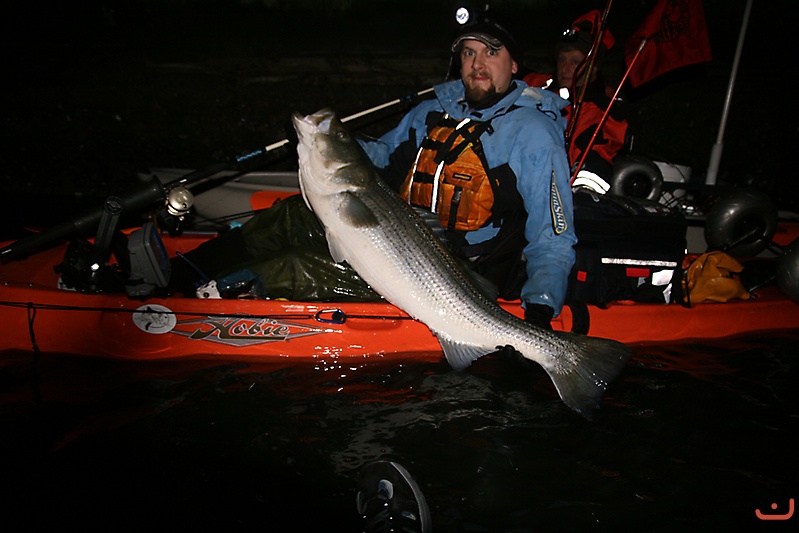 A. Weiss with a nice striper