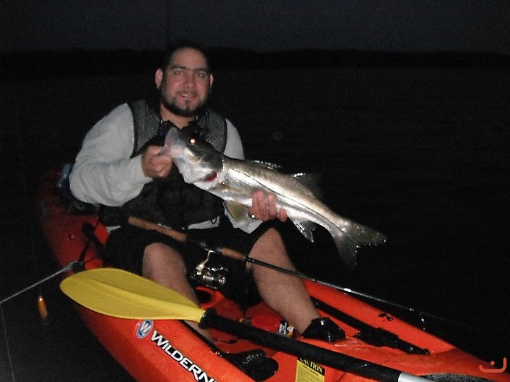 Snook catch, Biscayne Bay, Kayak Fishing Tour_1