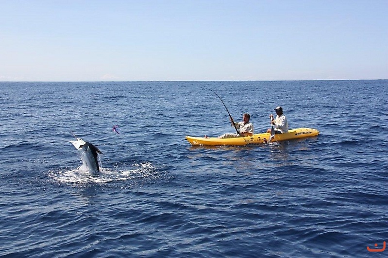 Costa Rica Marlin