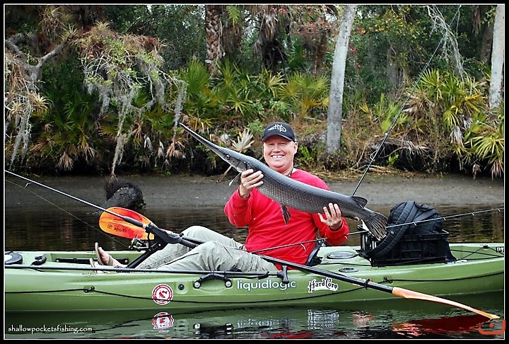 Myakka River Florida_1