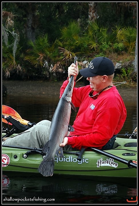 Myakka River Florida_2