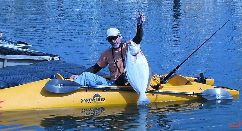 CA Halibut