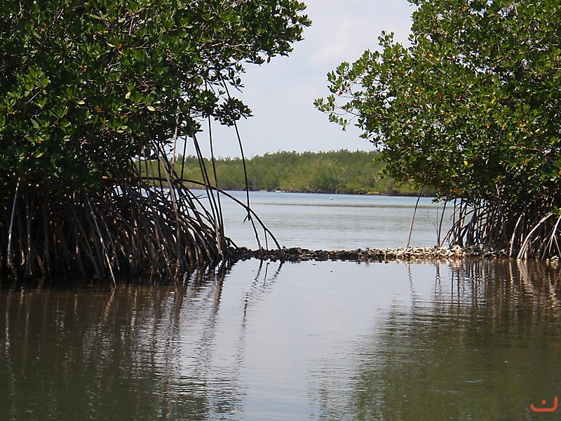 Indian River Lagoon Florida_1