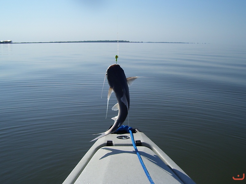 Calcasieu Lake  Lake Charles, LA_1