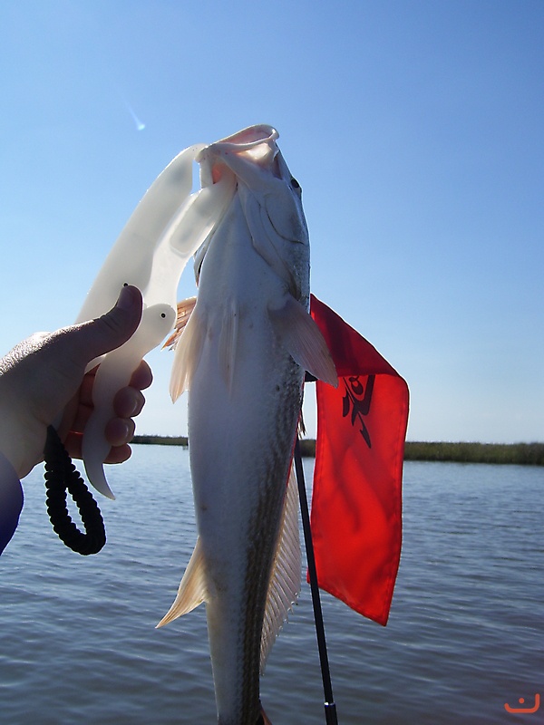 Calcasieu Lake  Lake Charles, LA_3