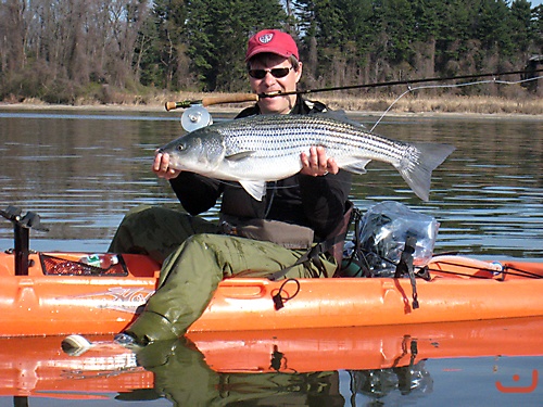 Tom Knapp with a Hudson Striper 